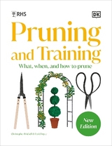 RHS Pruning and Training - Dk