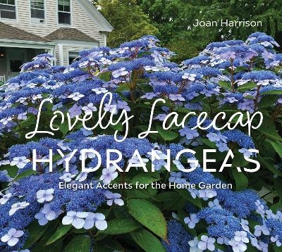 Lovely Lacecap Hydrangeas: Elegant Accents for the Home Garden - Joan Harrison