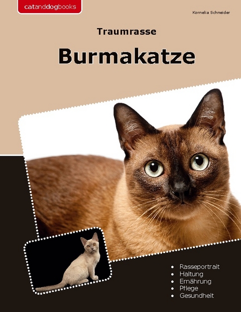 Traumrasse Burmakatze - Kornelia Schneider