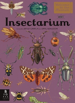 Insectarium - Dave Goulson