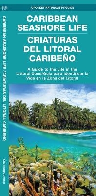 Caribbean Seashore Life (Criaturas del Litoral Caribeno) -  Waterford Press