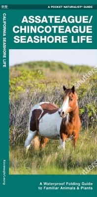 Assateague/Chincoteague Seashore Life -  Waterford Press, James Kavanagh