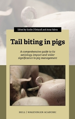 Tail biting in pigs - 