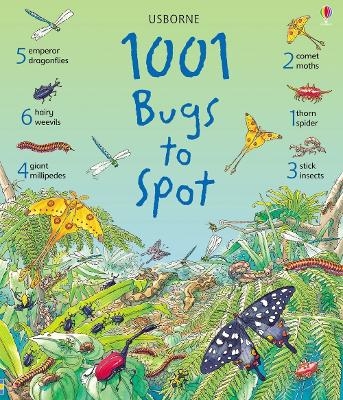 1001 Bugs to Spot - Emma Helbrough