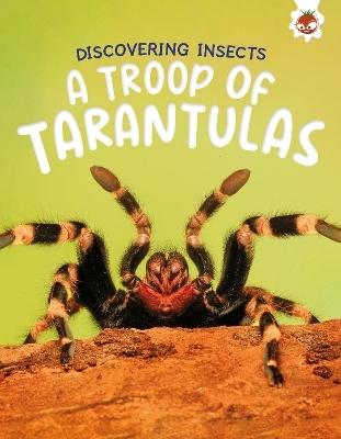 Discovering Insects: A Troop of Tarantulas - Rebecca Storm