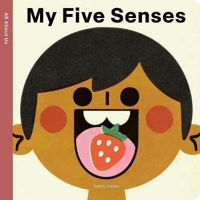 Spring Street All About Us: My Five Senses -  Boxer Books