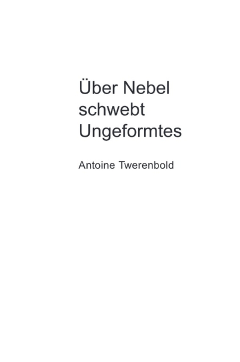 Über Nebel schwebt Ungeformtes - Antoine Twerenbold