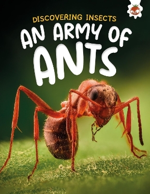 Discovering Insects: An Army of Ants - Rebecca Storm