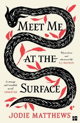 Meet Me at the Surface - Jodie Matthews