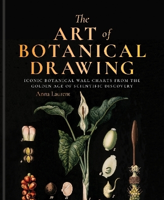 The Art of Botanical Drawing - Anna Laurent