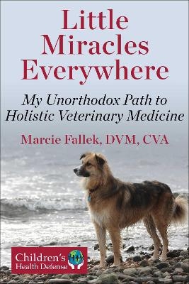 Little Miracles Everywhere - Marcie Fallek