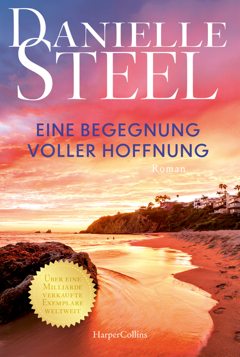 Eine Begegnung voller Hoffnung - Danielle Steel