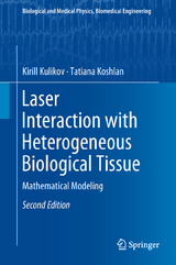 Laser Interaction with Heterogeneous Biological Tissue - Kirill Kulikov, Tatiana Koshlan