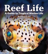 Reef Life - Scott, Michael