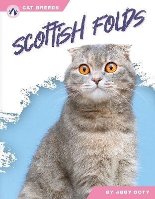 Scottish Folds - Abby Doty