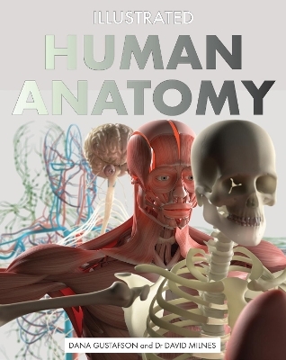 Illustrated Human Anatomy - Dana Gustafson