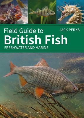 Field Guide to British Fish - Jack Perks