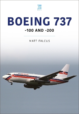 Boeing 737 - Matt Falcus