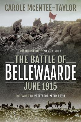 The Battle of Bellewaarde, June 1915 - Carole McEntee-Taylor