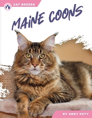 Maine Coons - Abby Doty