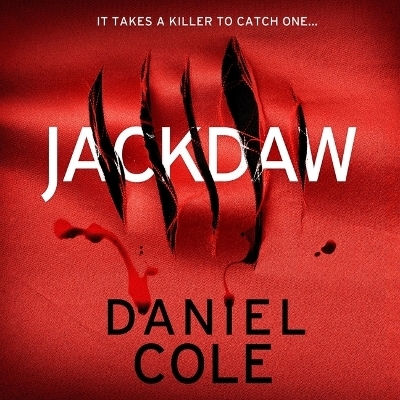 Jackdaw - Daniel Cole