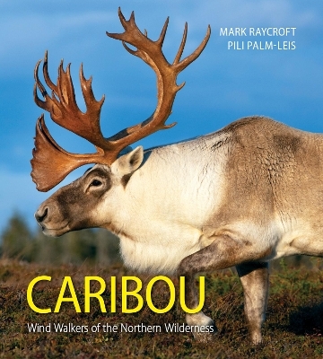 Caribou - Mark Raycroft, Pili Palm-Leis