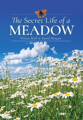 The Secret Life of a Meadow - Wilson Wall, David Morgan