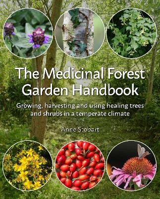 The Medicinal Forest Garden Handbook - Anne Stobart