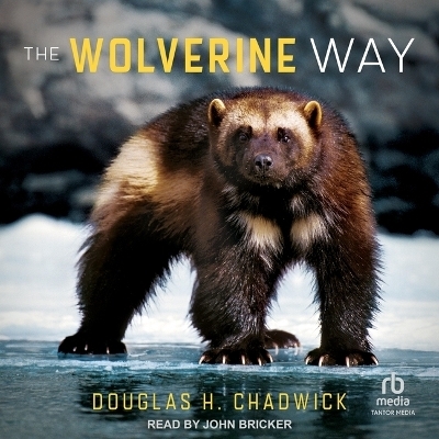 The Wolverine Way - Douglas H Chadwick