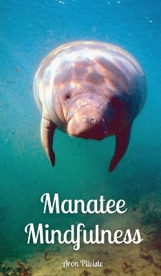 Manatee Mindfulness - Aron Pilviste