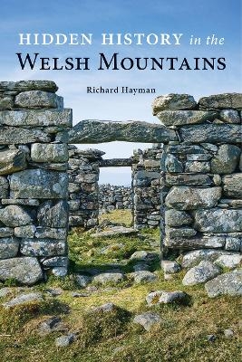 Hidden History in the Welsh Mountains - Richard Hayman