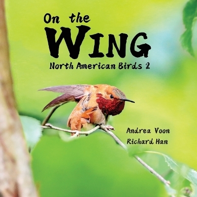 On the Wing - North American Birds 2 - Andrea Voon