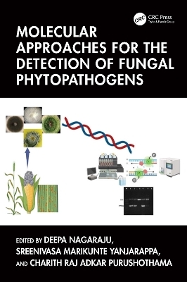 Molecular Approaches for the Detection of Fungal Phytopathogens - 