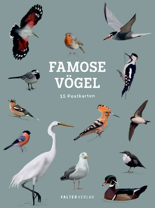 Famose Vögel - Postkartenbuch - 