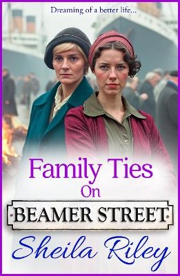 Family Ties on Beamer Street - Sheila Riley