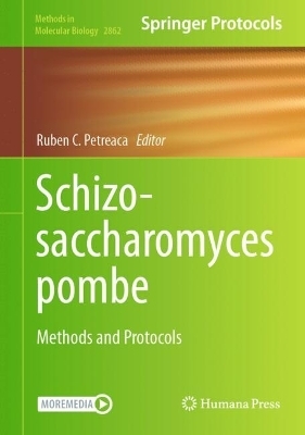 Schizosaccharomyces pombe - 