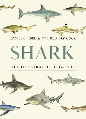 Shark - Daniel Abel, Sophie A. Maycock