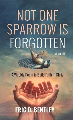 Not One Sparrow Is Forgotten, Volume II - Eric D Bentley