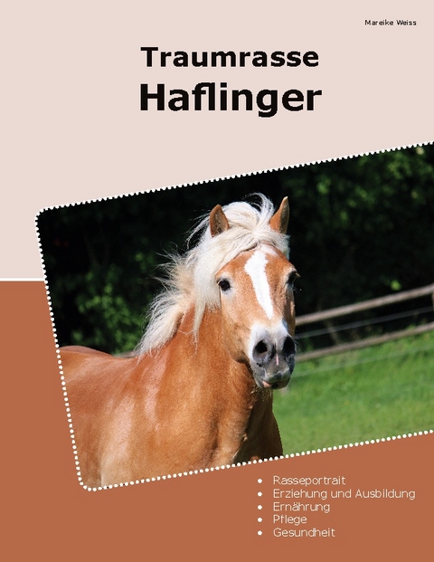 Traumrasse Haflinger - Mareike Weiss