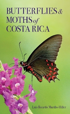 Butterflies and Moths of Costa Rica - Luis Ricardo Murillo-Hiller