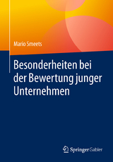 Besonderheiten bei der Bewertung junger Unternehmen - Mario Smeets