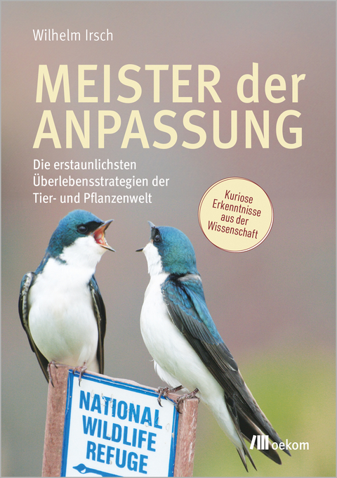 Meister der Anpassung - Wilhelm Irsch