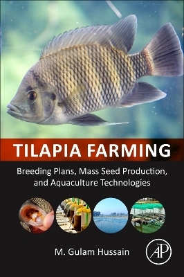 Tilapia Farming - Gulam Hussain