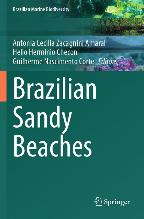 Brazilian Sandy Beaches - 