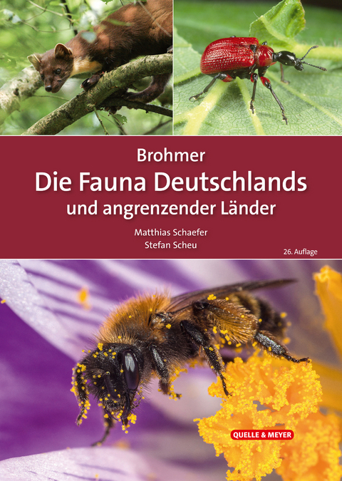 Brohmer – Die Fauna Deutschlands und angrenzender Länder - 