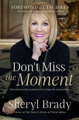 Don't Miss the Moment - Sheryl Brady