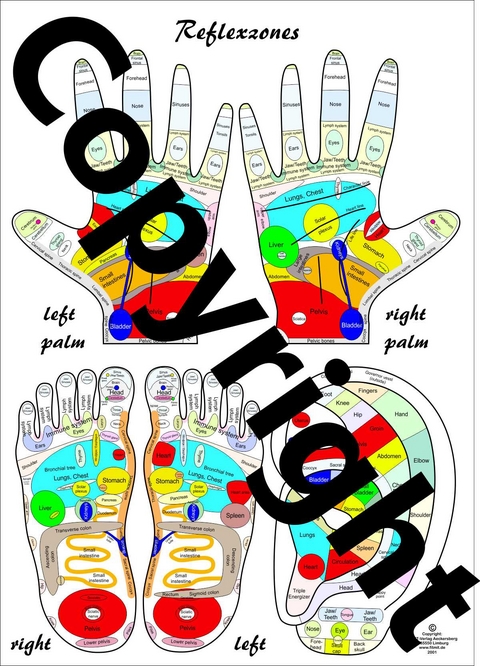 Reflexology Chart - Tanja Aeckersberg