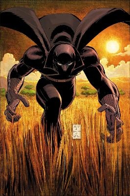 Black Panther by Reginald Hudlin Omnibus - Reginald Hudlin, Peter Milligan