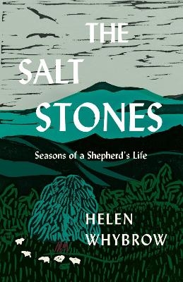 The Salt Stones - Helen Whybrow