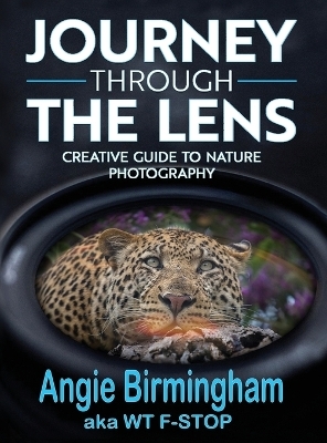 Journey Through the Lens - Angie Birmingham